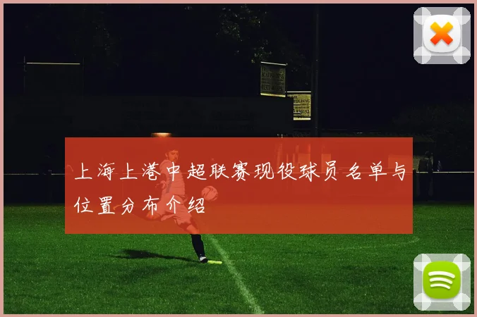 上海上港中超联赛现役球员名单与位置分布介绍