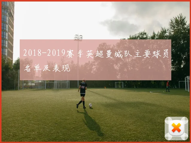 2018-2019赛季英超曼城队主要球员名单及表现